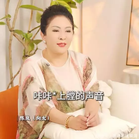 香港黑社会 娱乐圈_梅艳芳向太黑社会事件_向太梅艳芳恩怨