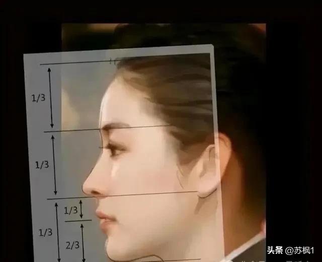 女明星的奢侈品_最美女明星天生丽质排名_没整过容的女明星名单